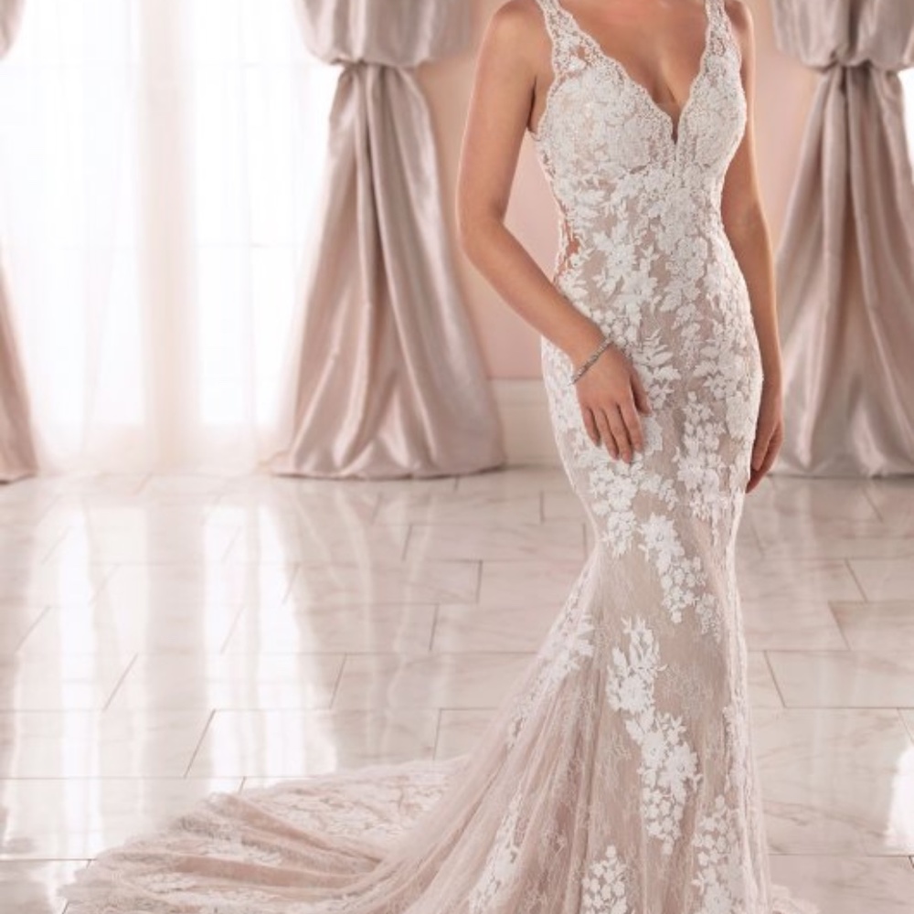 Wedding Dress and Veil